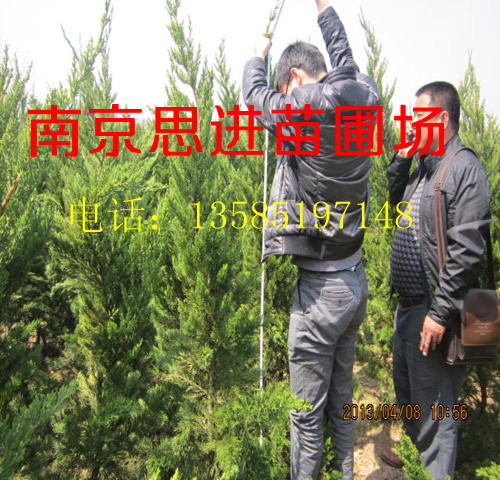 �������¼۸�_����С��_����������